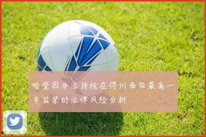哈登因非法持枪在得州面临最高一年监禁的法律风险分析